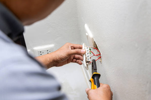 Best Licensed Electrician  in Williamston, MI