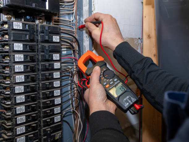 Best Affordable Emergency Electrician  in Williamston, MI