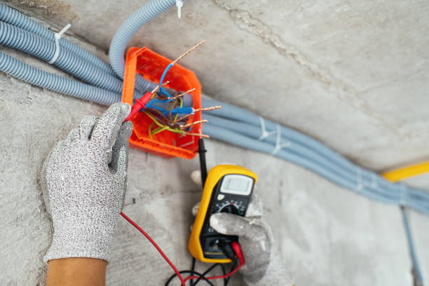 Best Residential Electrician Services  in Williamston, MI
